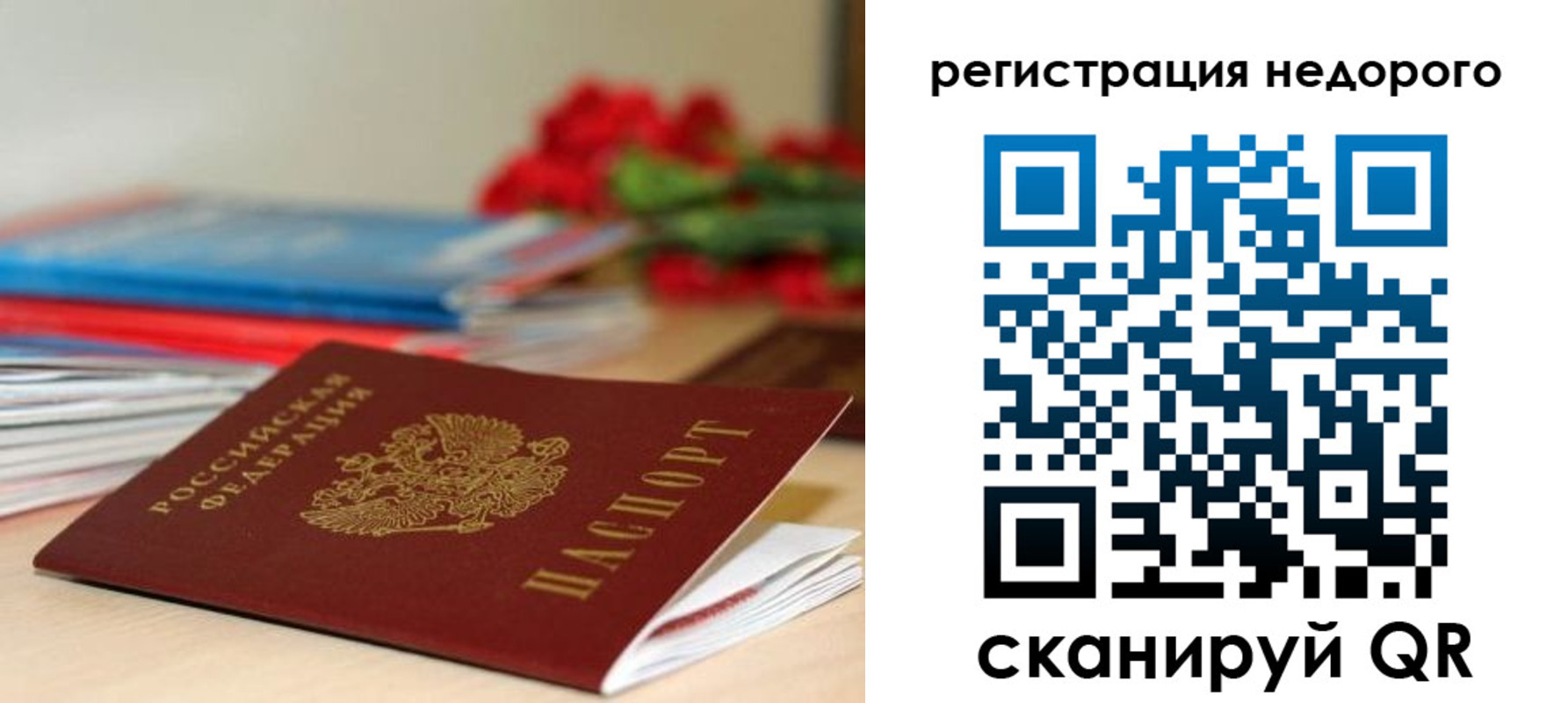 временная регистрация гарантия в Ершове